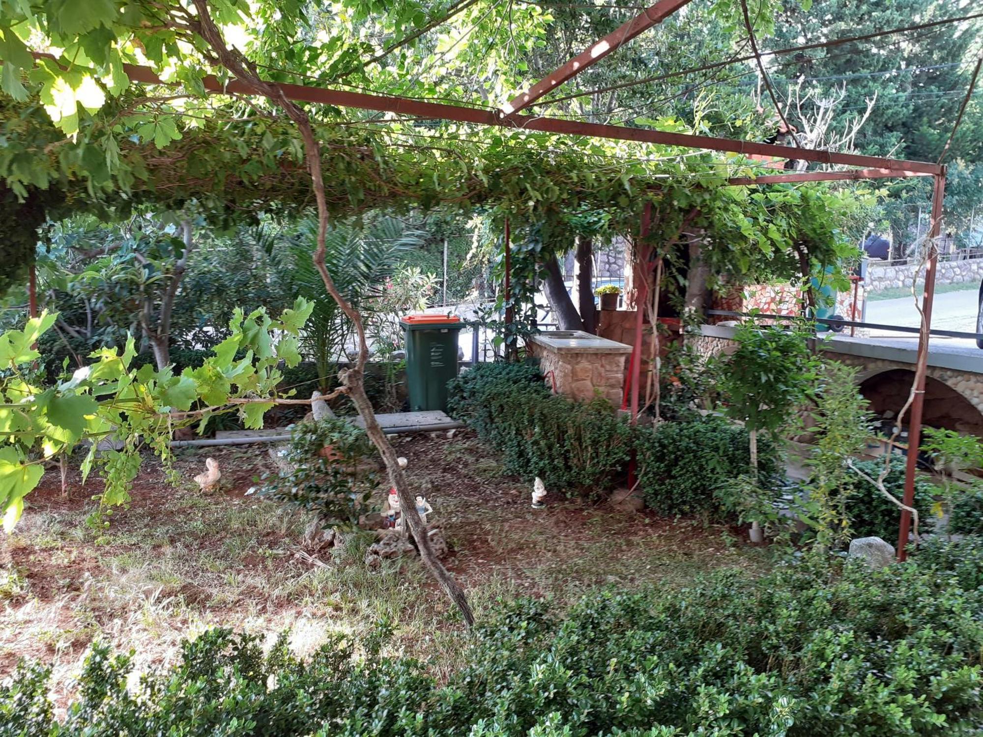 Palma Starigrad Paklenica